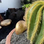 Apartamento El Jable