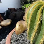 El Jable Apartamento Arrecife (Lanzarote)